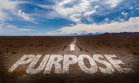  Purpose: Finding Meaning in Your Journey – Ein Pakistanskischer Leitfaden zum Selbstentdecken