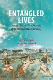 “Entangled Lives” - A Colombian Masterpiece Exploring Love, Loss, and the Echoes of the Past