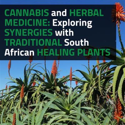  Quest for Wellness: A Journey Through Traditional South African Healing Practices - Unlocking Ancient Wisdom and Unveiling the Power of Nature